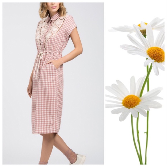 POL Polly Farms Pink Gingham Dress - Picture 4 of 9